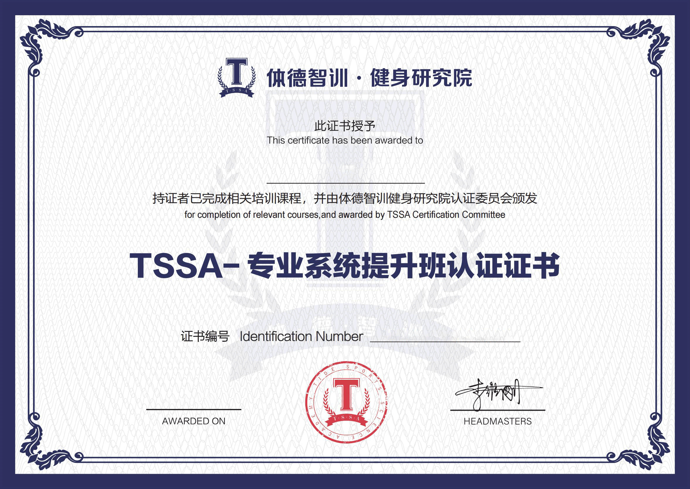 TSSA-专业系统提升班认证证书